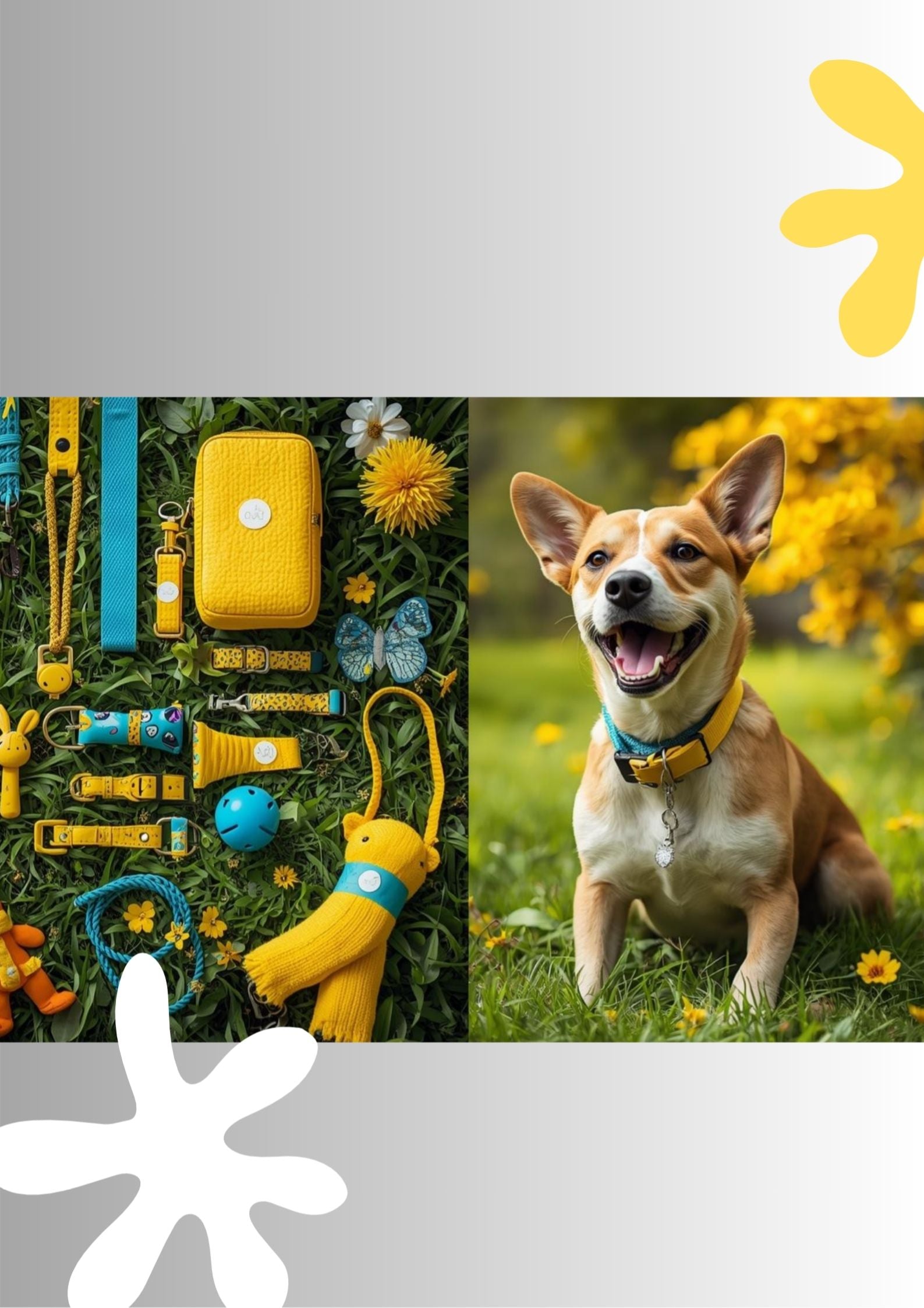 WALK & TRAVEL ESSENTIALS