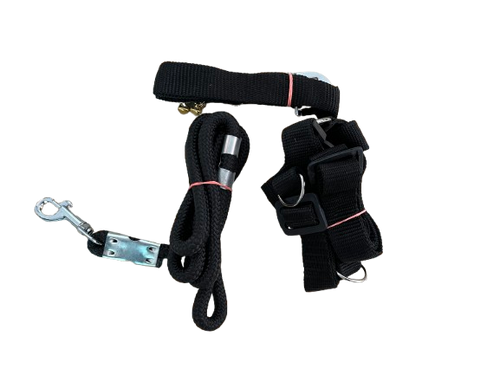 Dog harness,lease and collar Dog Harness & Leash Combo (Small, black)